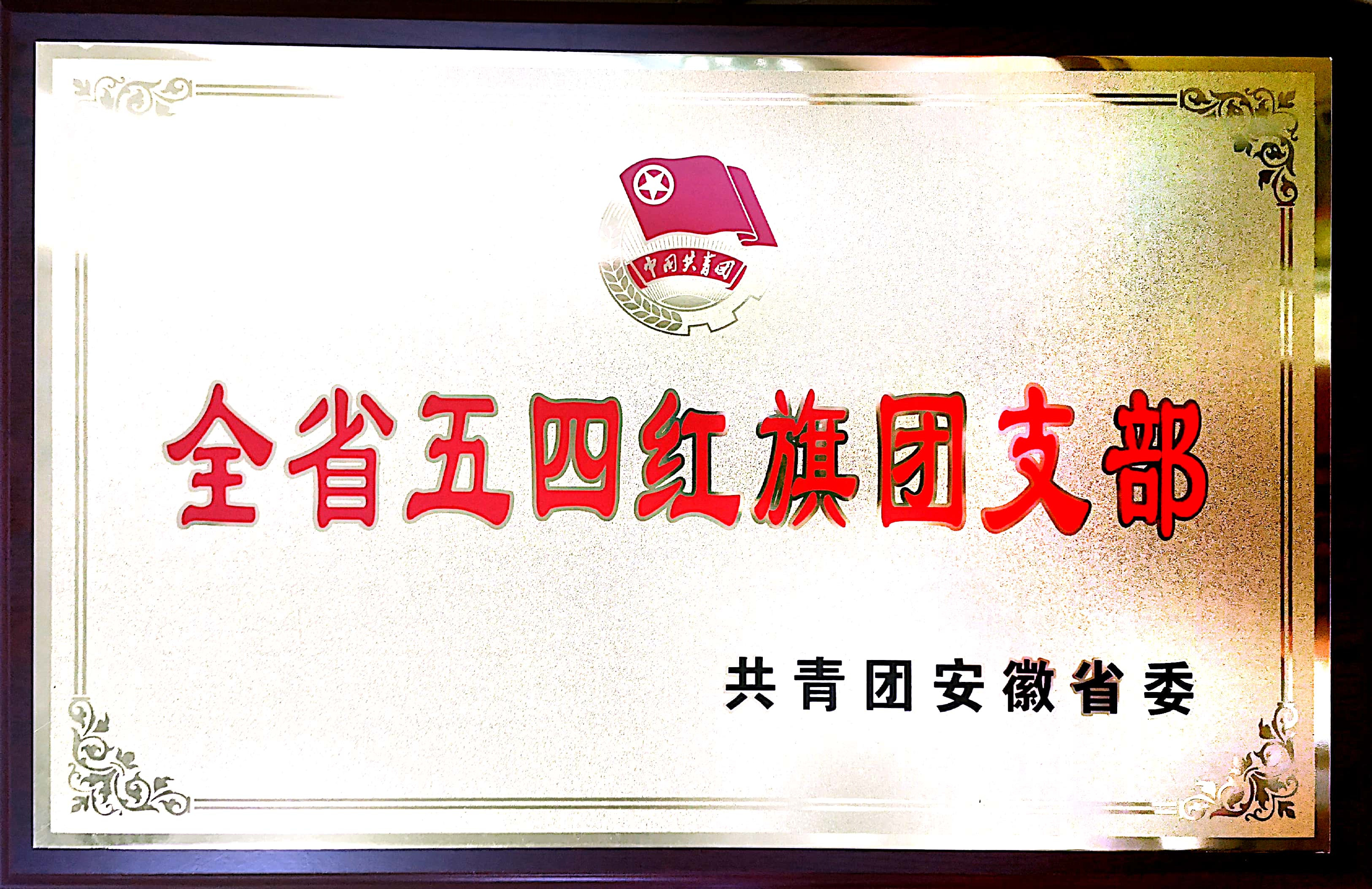 2019ʡĺ֧.jpg